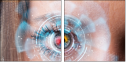 60478677