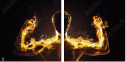 61751589