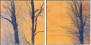 61864050