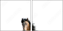 62618176