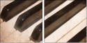 63329825
