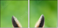 63805438
