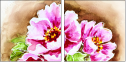63920079