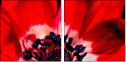 64202605