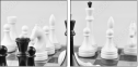 64265081