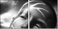 65561483