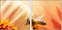 65782170