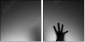65905170
