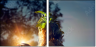 65958619