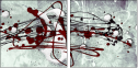 66720090