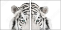67172414