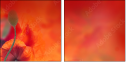 67251094