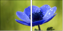 6756687