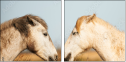 68105257