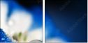 68169392
