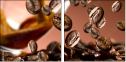68334936