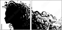 68369246