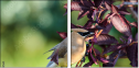 68702565
