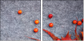 68721150