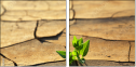 68740309