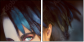 68796716