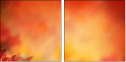 68917017