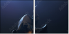 68921322