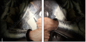 69546353