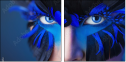 69641172