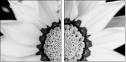 71181016