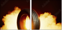 71231906