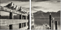 72072664