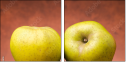 72103606