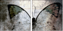 73878760