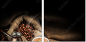 74493123