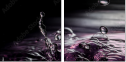 75116063