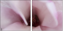 75397074