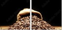 75743507