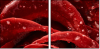 75798905