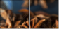 78130865