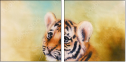 78189357