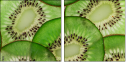 78577804