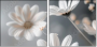 877089715