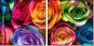913577319