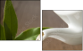 11542609