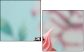 12612957