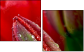15487800