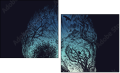164648563