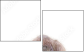 17243414