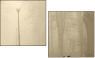 1950742